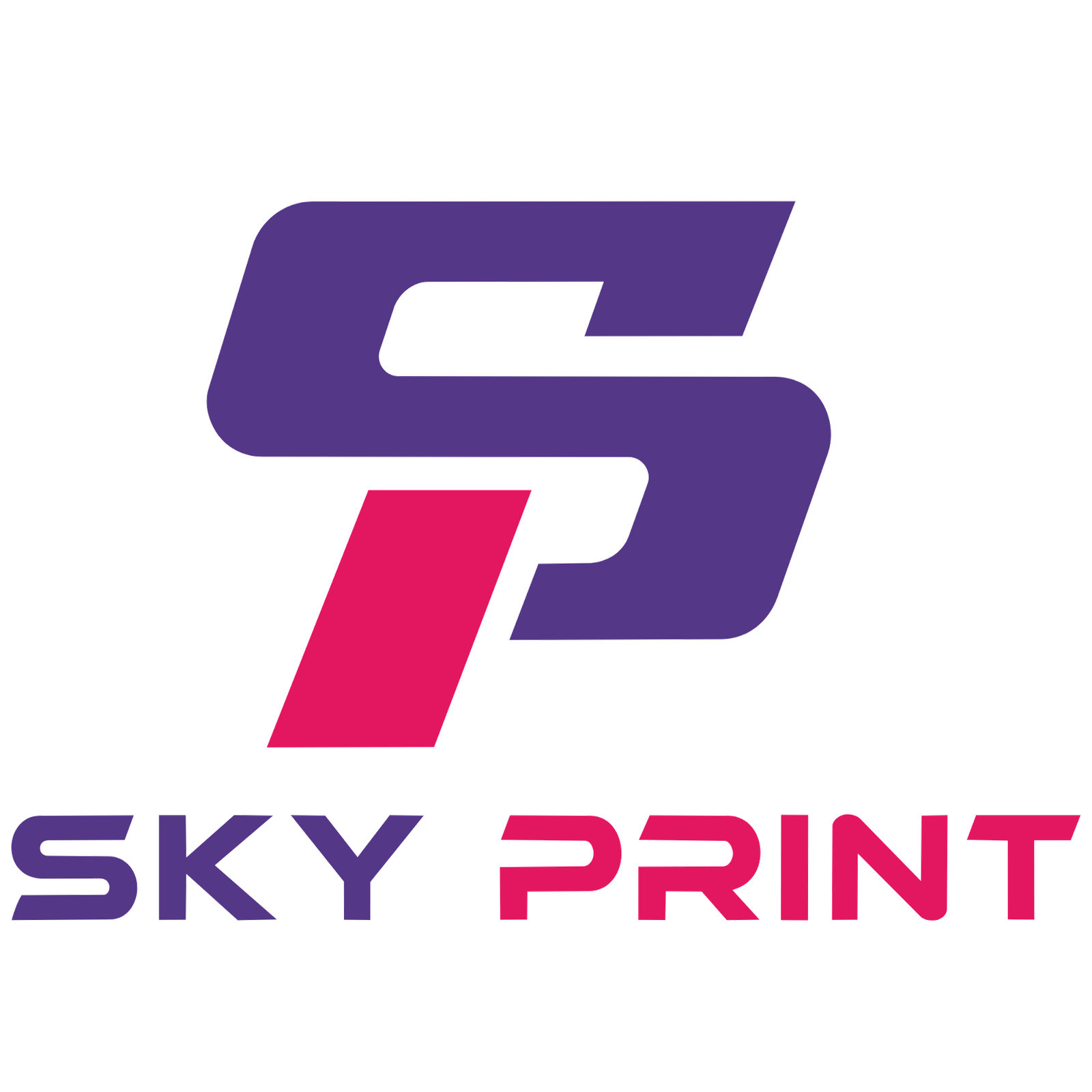 SkyPrint Logo